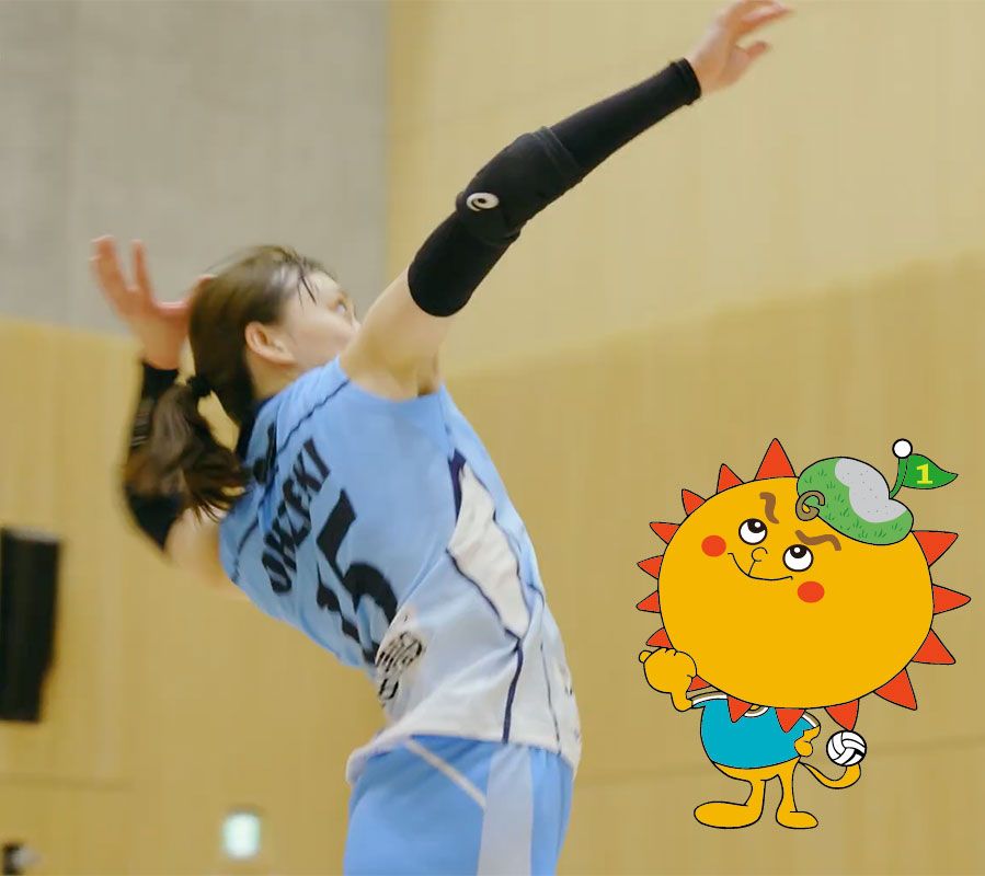 東京サンビームズ